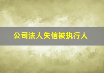 公司法人失信被执行人