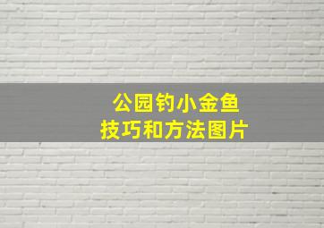 公园钓小金鱼技巧和方法图片