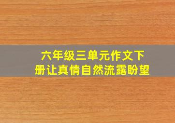 六年级三单元作文下册让真情自然流露盼望