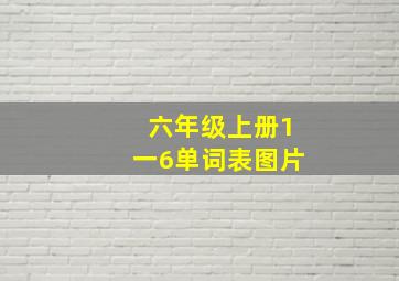 六年级上册1一6单词表图片