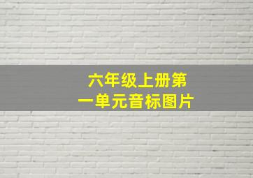 六年级上册第一单元音标图片