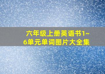 六年级上册英语书1~6单元单词图片大全集