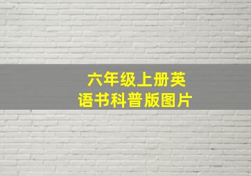 六年级上册英语书科普版图片