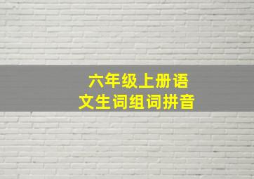 六年级上册语文生词组词拼音