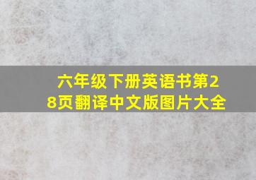 六年级下册英语书第28页翻译中文版图片大全