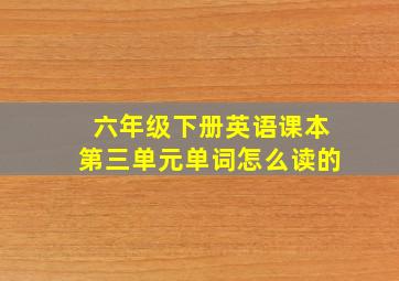 六年级下册英语课本第三单元单词怎么读的