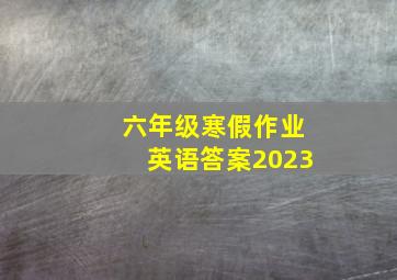 六年级寒假作业英语答案2023