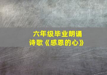 六年级毕业朗诵诗歌《感恩的心》