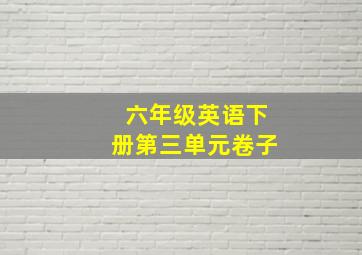 六年级英语下册第三单元卷子