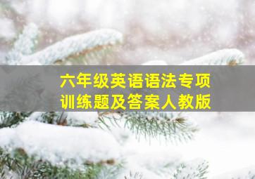 六年级英语语法专项训练题及答案人教版