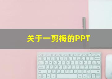 关于一剪梅的PPT