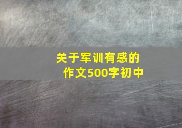 关于军训有感的作文500字初中