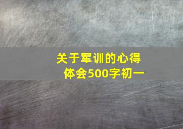 关于军训的心得体会500字初一