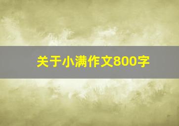 关于小满作文800字