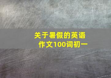 关于暑假的英语作文100词初一