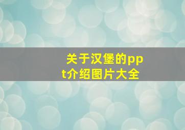 关于汉堡的ppt介绍图片大全