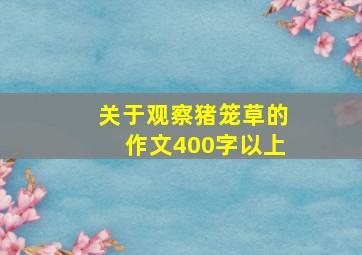 关于观察猪笼草的作文400字以上