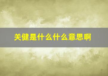 关健是什么什么意思啊