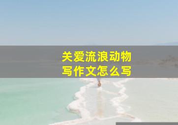 关爱流浪动物写作文怎么写