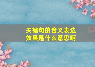 关键句的含义表达效果是什么意思啊