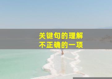 关键句的理解不正确的一项