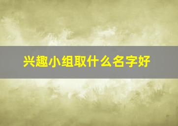 兴趣小组取什么名字好