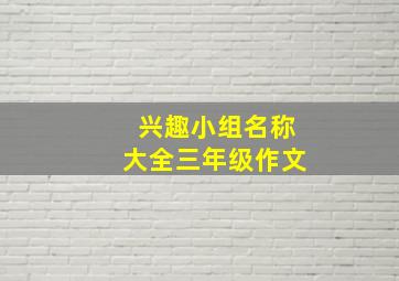 兴趣小组名称大全三年级作文