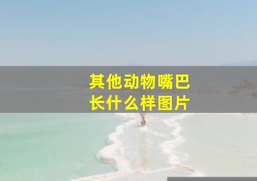 其他动物嘴巴长什么样图片