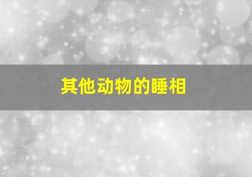 其他动物的睡相