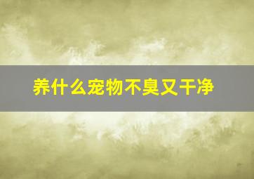 养什么宠物不臭又干净