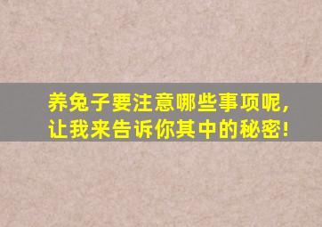 养兔子要注意哪些事项呢,让我来告诉你其中的秘密!