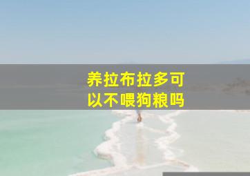 养拉布拉多可以不喂狗粮吗