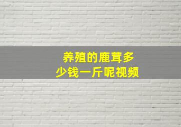 养殖的鹿茸多少钱一斤呢视频