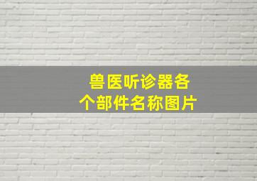 兽医听诊器各个部件名称图片