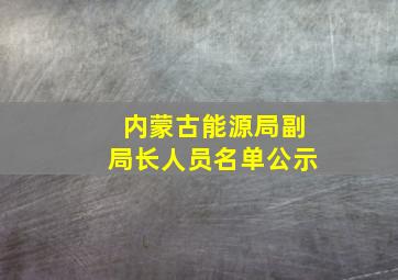 内蒙古能源局副局长人员名单公示