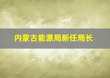 内蒙古能源局新任局长