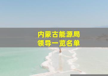 内蒙古能源局领导一览名单