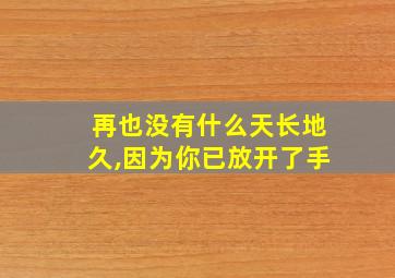 再也没有什么天长地久,因为你已放开了手