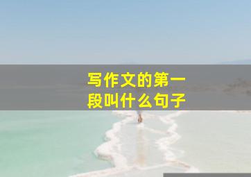 写作文的第一段叫什么句子