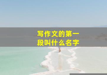 写作文的第一段叫什么名字