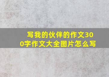 写我的伙伴的作文300字作文大全图片怎么写