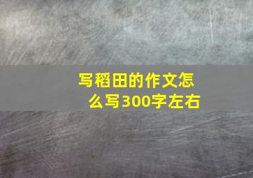 写稻田的作文怎么写300字左右