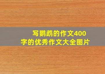 写鹦鹉的作文400字的优秀作文大全图片