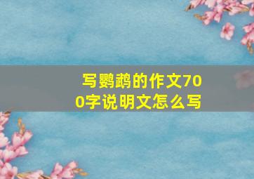 写鹦鹉的作文700字说明文怎么写