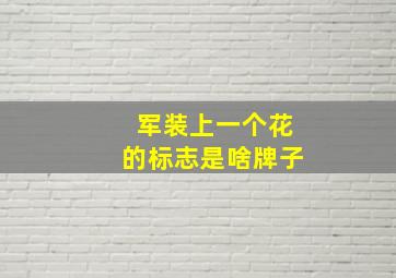 军装上一个花的标志是啥牌子