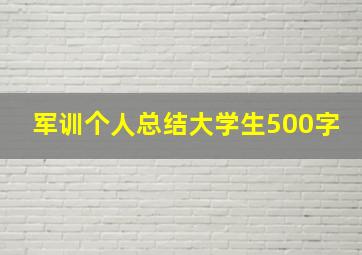 军训个人总结大学生500字