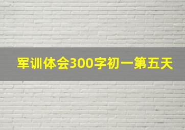 军训体会300字初一第五天