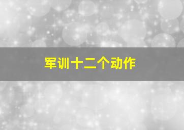 军训十二个动作