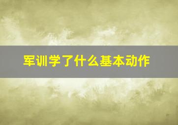 军训学了什么基本动作