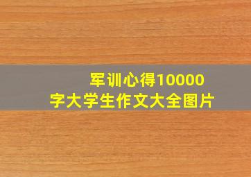 军训心得10000字大学生作文大全图片